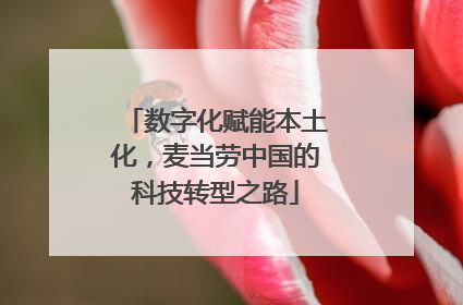 数字化赋能本土化，麦当劳中国的科技转型之路