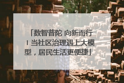 数智普陀 向新而行〡当社区治理遇上大模型，居民生活更便捷