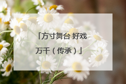 方寸舞台 好戏万千（传承）