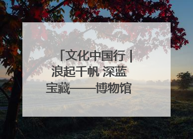 文化中国行｜浪起千帆 深蓝宝藏——博物馆里的海丝遗珍