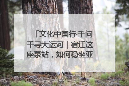 文化中国行·千问千寻大运河｜宿迁这座泵站，如何稳坐亚洲第一宝座？