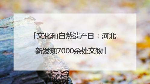 文化和自然遗产日：河北新发现7000余处文物