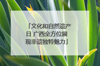 文化和自然遗产日 广西全方位展现非遗独特魅力