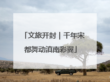文旅开封｜千年宋都舞动滇南彩翼