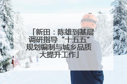 新田：陈雄到基层调研指导“十五五”规划编制与城乡品质大提升工作
