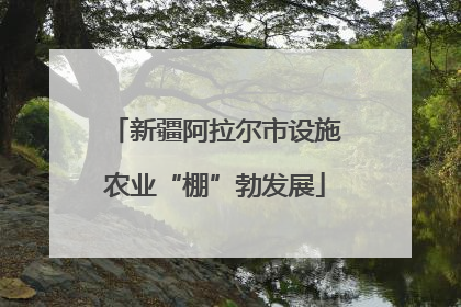 新疆阿拉尔市设施农业“棚”勃发展