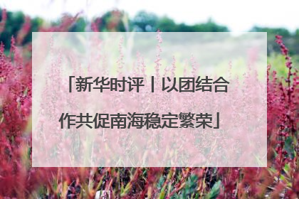 新华时评丨以团结合作共促南海稳定繁荣
