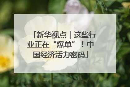 新华视点｜这些行业正在“爆单”！中国经济活力密码