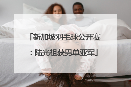 新加坡羽毛球公开赛：陆光祖获男单亚军