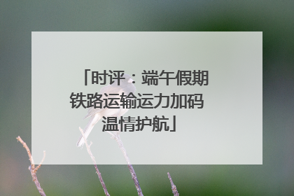 时评：端午假期铁路运输运力加码 温情护航