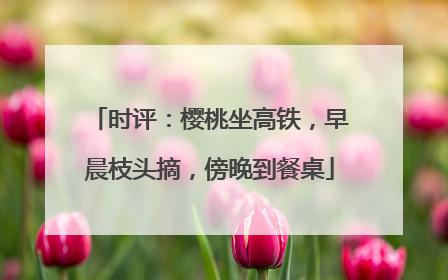 时评：樱桃坐高铁，早晨枝头摘，傍晚到餐桌