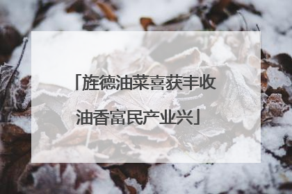 旌德油菜喜获丰收 油香富民产业兴