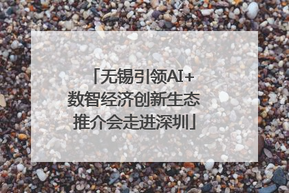 无锡引领AI+数智经济创新生态推介会走进深圳