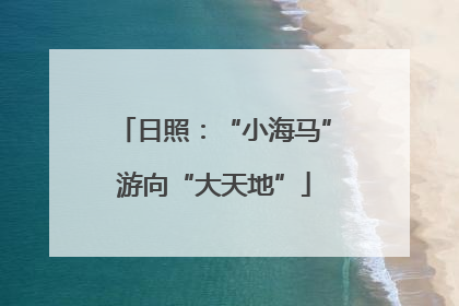 日照：“小海马”游向“大天地”
