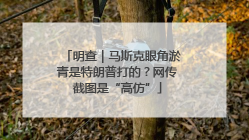 明查｜马斯克眼角淤青是特朗普打的？网传截图是“高仿”