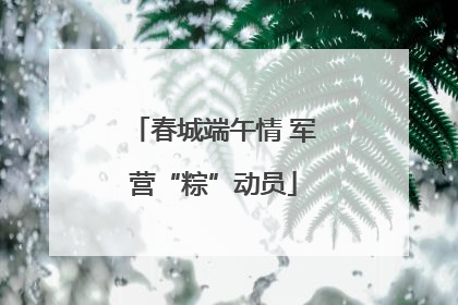 春城端午情 军营“粽”动员
