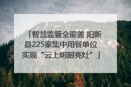 智慧监管全覆盖 阳新县225家集中用餐单位实现“云上明厨亮灶”