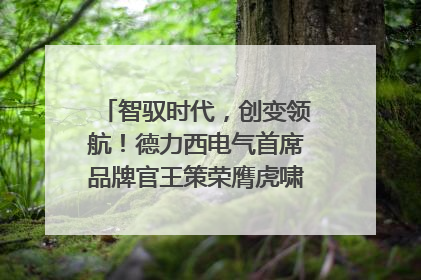 智驭时代，创变领航！德力西电气首席品牌官王策荣膺虎啸奖年度品牌人物