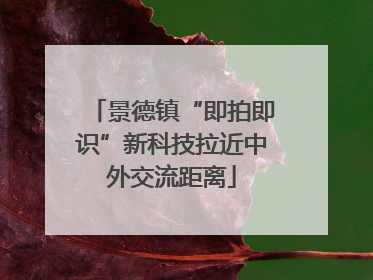 景德镇“即拍即识”新科技拉近中外交流距离