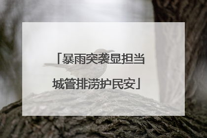 暴雨突袭显担当 城管排涝护民安