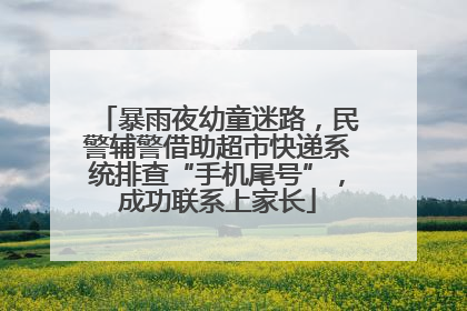 暴雨夜幼童迷路，民警辅警借助超市快递系统排查“手机尾号”，成功联系上家长
