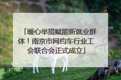 暖心举措赋能新就业群体！南京市网约车行业工会联合会正式成立