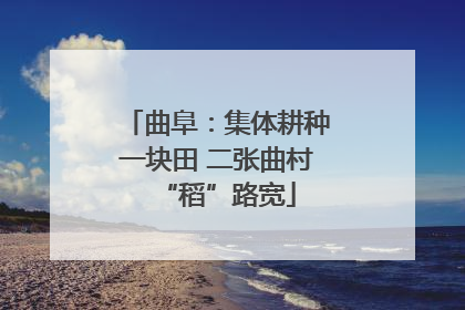 曲阜：集体耕种一块田 二张曲村“稻”路宽