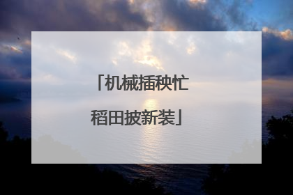 机械插秧忙 稻田披新装