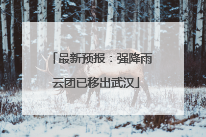 最新预报：强降雨云团已移出武汉