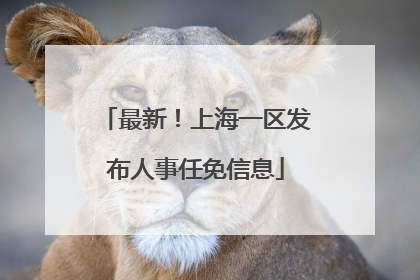 最新！上海一区发布人事任免信息