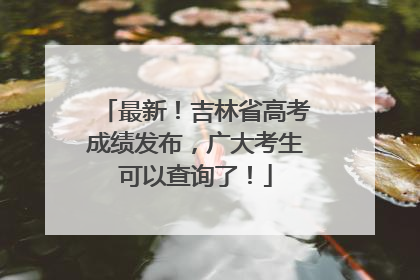最新！吉林省高考成绩发布，广大考生可以查询了！