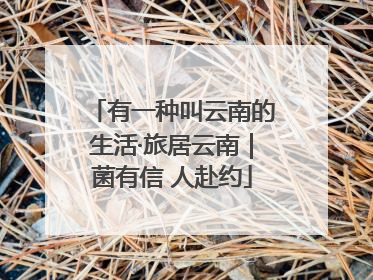 有一种叫云南的生活·旅居云南｜菌有信 人赴约