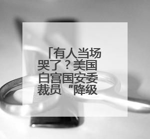 有人当场哭了？美国白宫国安委裁员“降级”
