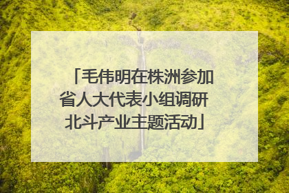毛伟明在株洲参加省人大代表小组调研北斗产业主题活动