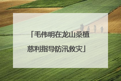 毛伟明在龙山桑植慈利指导防汛救灾