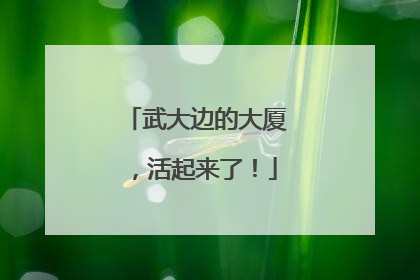 武大边的大厦，活起来了！