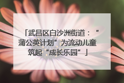 武昌区白沙洲街道：“蒲公英计划”为流动儿童筑起“成长乐园”