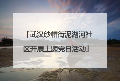 武汉纱帽街泥湖河社区开展主题党日活动