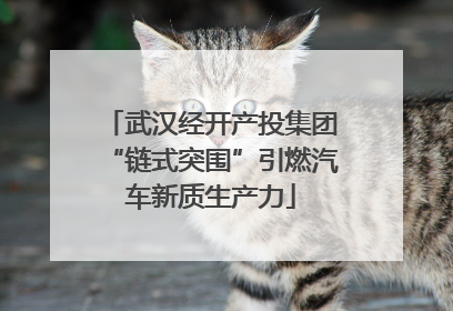 武汉经开产投集团“链式突围”引燃汽车新质生产力