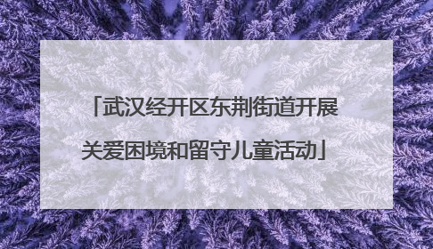 武汉经开区东荆街道开展关爱困境和留守儿童活动