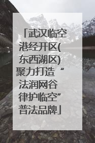 武汉临空港经开区(东西湖区)聚力打造“法润网谷 律护临空”普法品牌