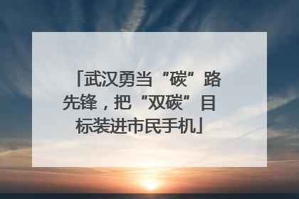 武汉勇当“碳”路先锋，把“双碳”目标装进市民手机