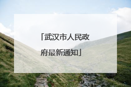 武汉市人民政府最新通知