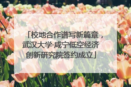 校地合作谱写新篇章，武汉大学·咸宁低空经济创新研究院签约成立