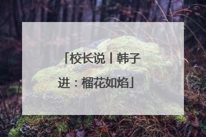 校长说丨韩子进：榴花如焰