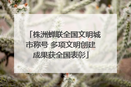 株洲蝉联全国文明城市称号 多项文明创建成果获全国表彰