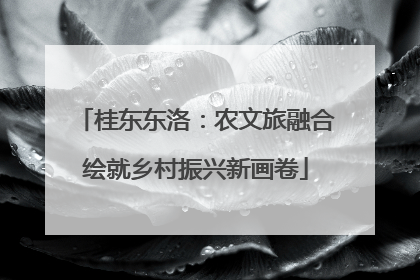 桂东东洛：农文旅融合绘就乡村振兴新画卷