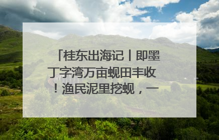 桂东出海记丨即墨丁字湾万亩蚬田丰收！渔民泥里挖蚬，一天上岸过千斤