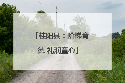 桂阳县：阶梯育德 礼润童心
