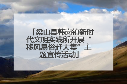 梁山县韩岗镇新时代文明实践所开展“移风易俗赶大集”主题宣传活动